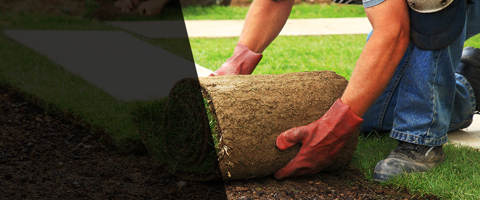 Hauppauge Landscapers